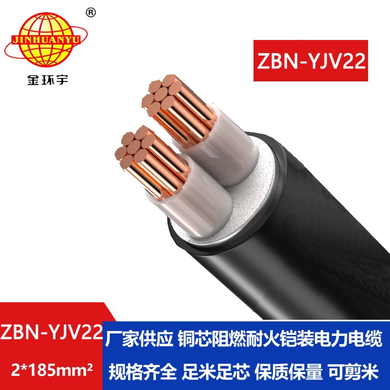金環(huán)宇電線電纜 耐火阻燃電纜ZBN-YJV22-2X185平方